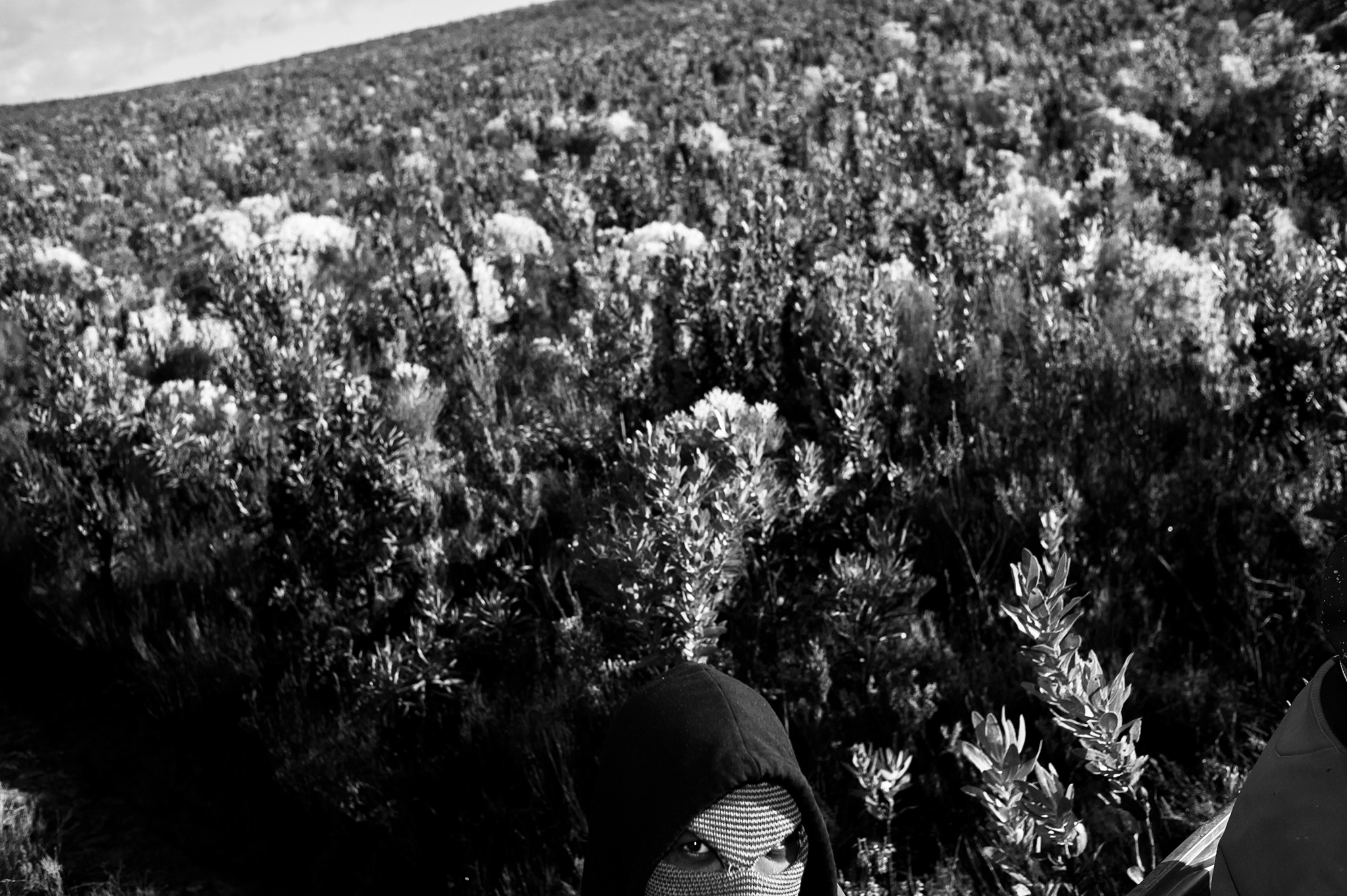BW_Photo