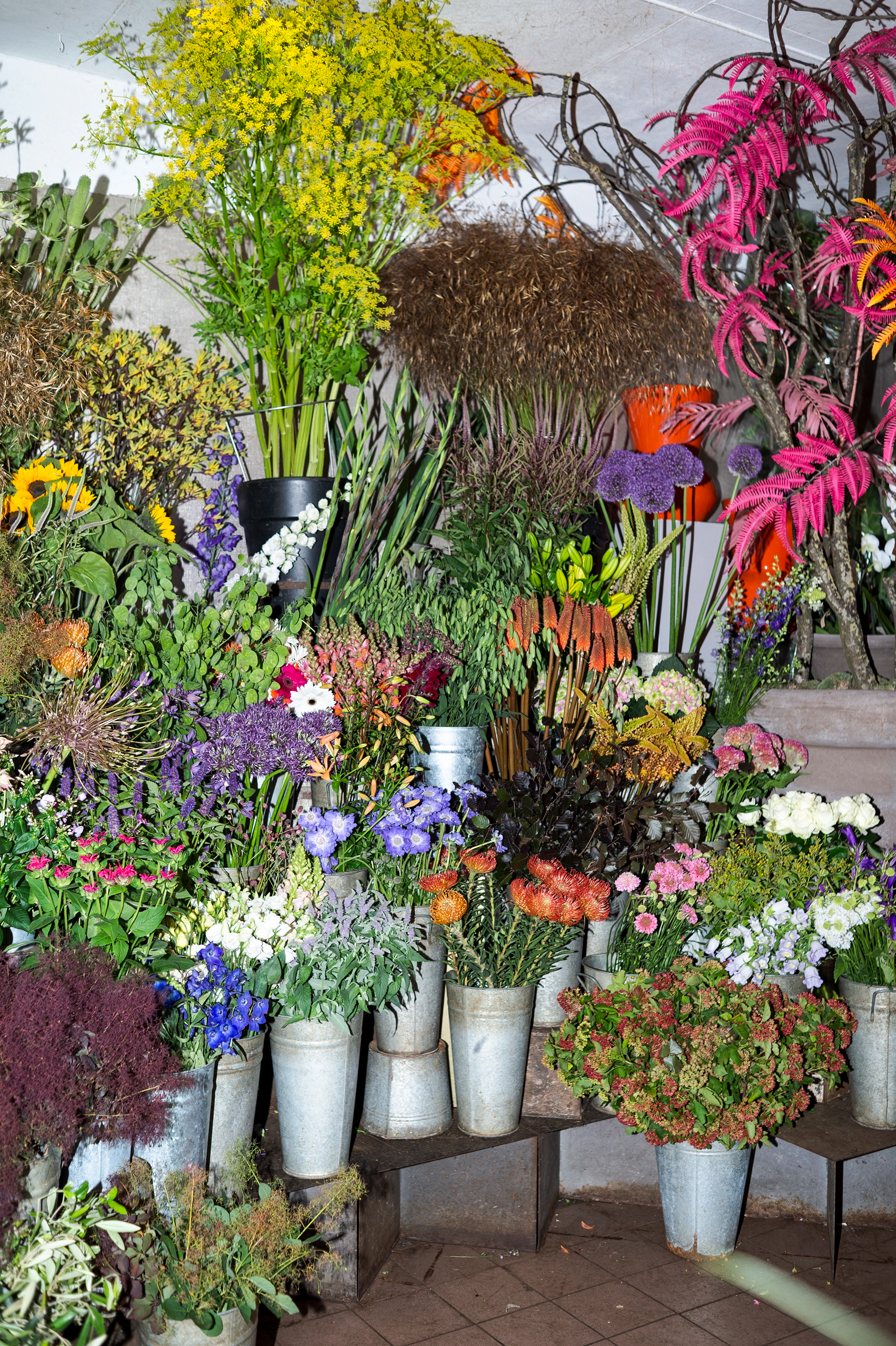 Colour_Photo