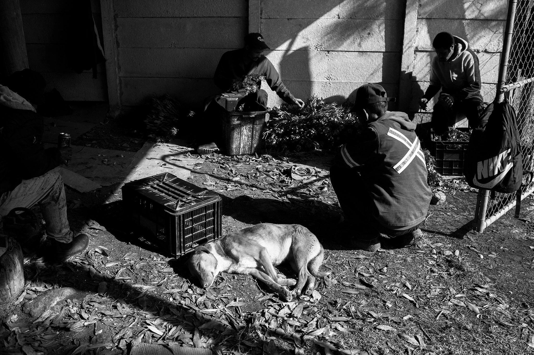 BW_Photo