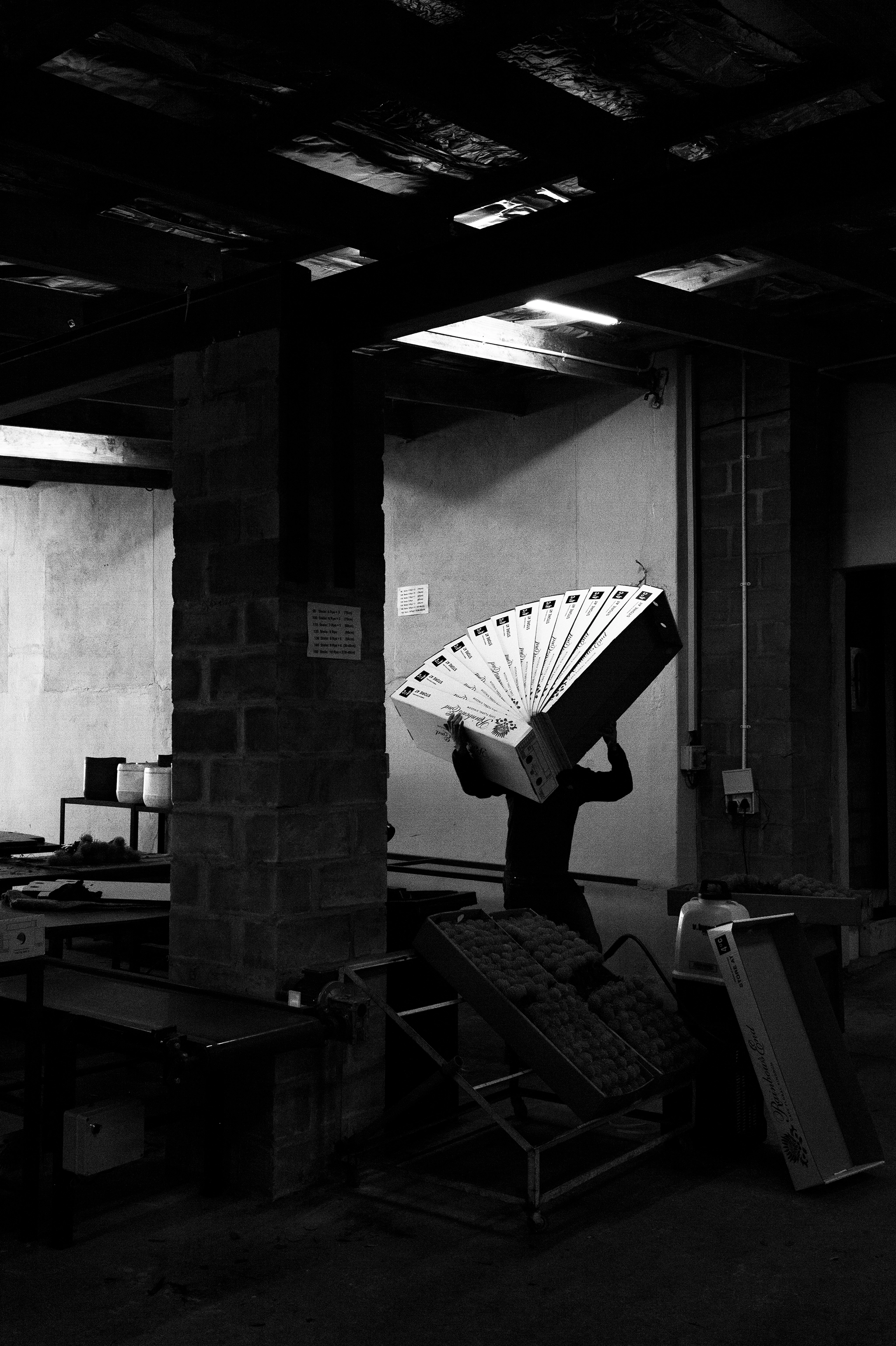 BW_Photo