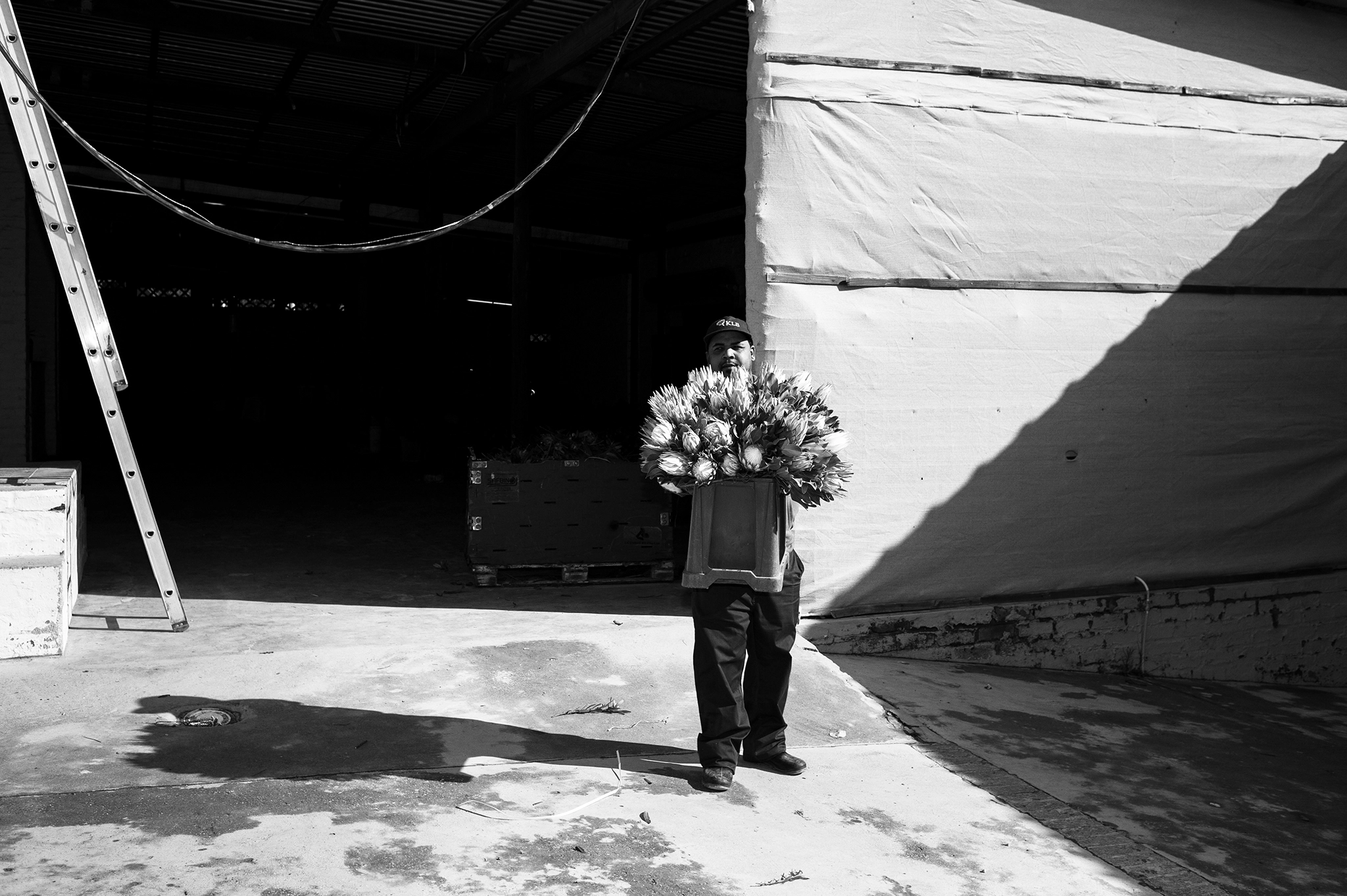 BW_Photo
