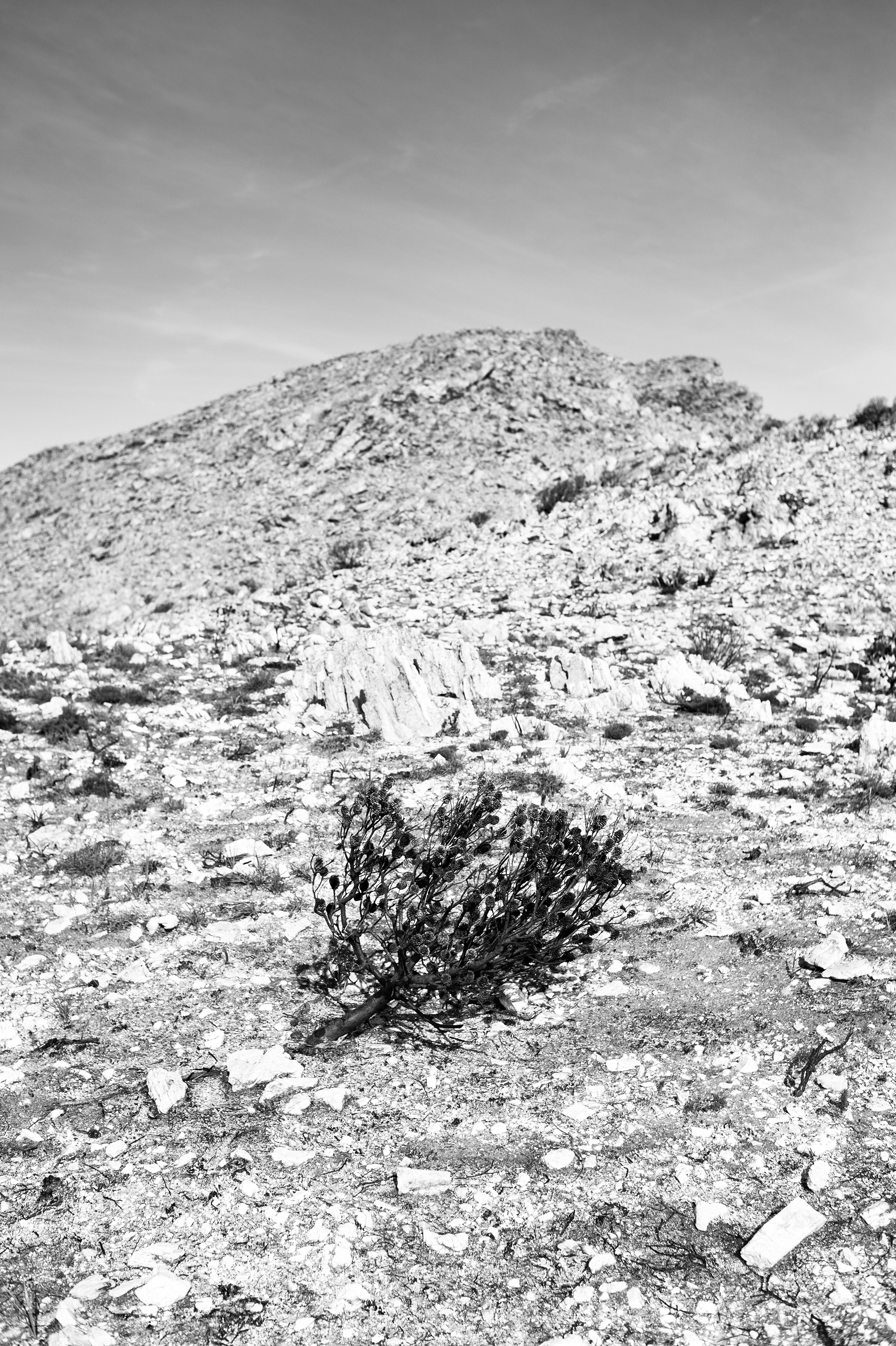 BW_Photo