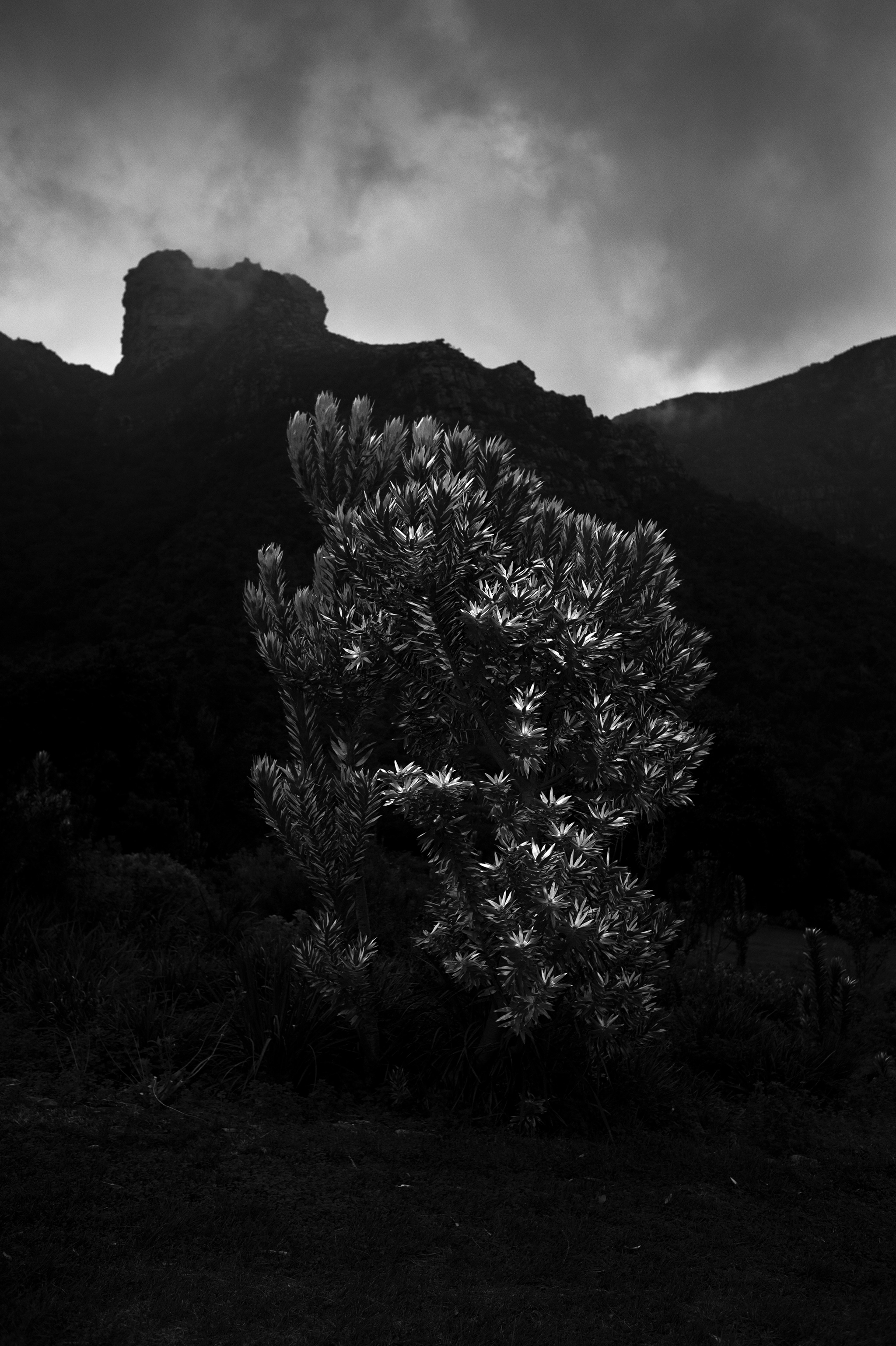 BW_Photo