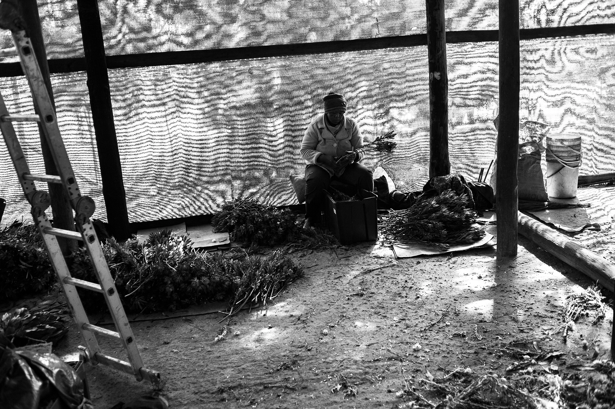 BW_Photo