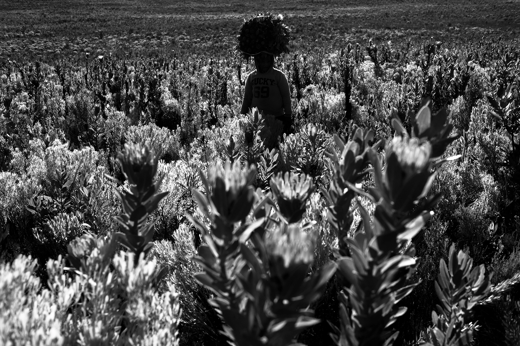 BW_Photo