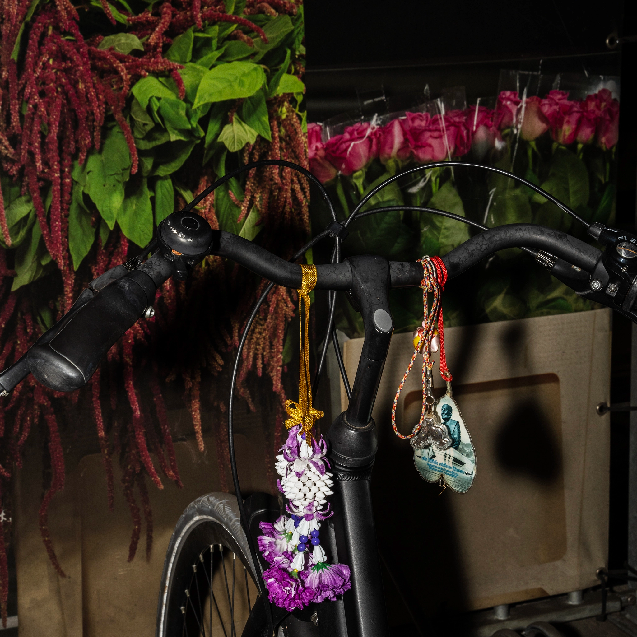 Colour_Photo