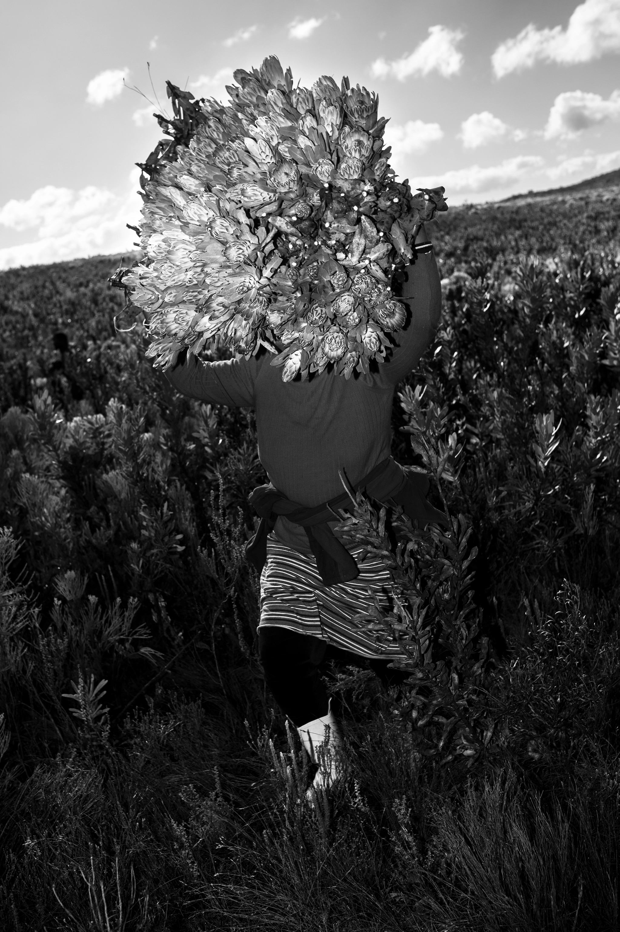 BW_Photo